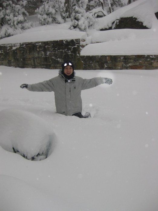 Teddy in snow... nearly as cute as a something-doodle in a drift.