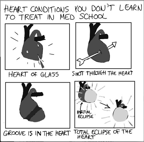 How many of you fell in love during medical school?