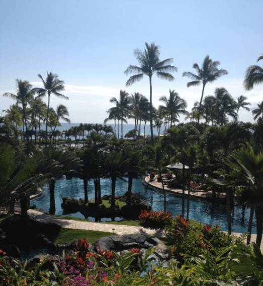 Makes you want to grab a ukelele and sing its praises.